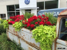 VW Bus for flowers
